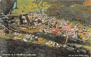 From an Airplane Roscoe, New York Postcard