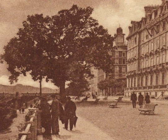 Le Boulevard Of Pyrenees Sienna Colored Vintage French Postcard