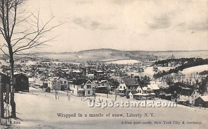 Wrapped in a mantle of Snow - Liberty, New York