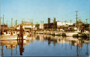 Vtg Fishermans Wharf Boats Marina Crab Sardine Fishing San Francisco CA Postcard