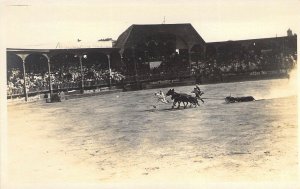 c.1910, Real Photo, AZO RPPC, Peru Bull Fighting, ,Old Postcard