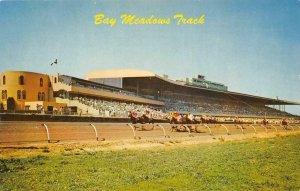 BAY MEADOWS TRACK Horse Racing SAN MATEO, CA Race track c1950s Vintage Postcard 