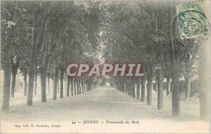 Old Postcard Joigny Promenade du Mail