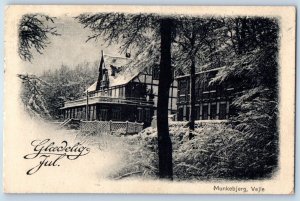 Southern Denmark Denmark Postcard Happy Holidays Munkebjerg Velje c1920's