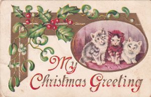 Christmas Greeting Mistletoe Holly Cute Kittens 1909 Postcard E42