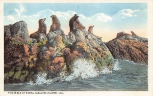 Set of 2 - Seals On The Rocks Santa Catalina Island California Postcard - WB