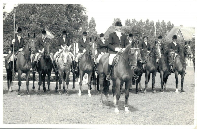 Hippique sport horses group horse riders dressage test 1973 RPPC 03.95