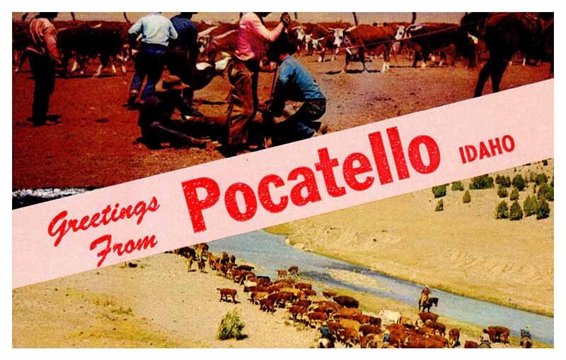 Postcard ANIMAL SCENE Pocatello Idaho ID AS0925