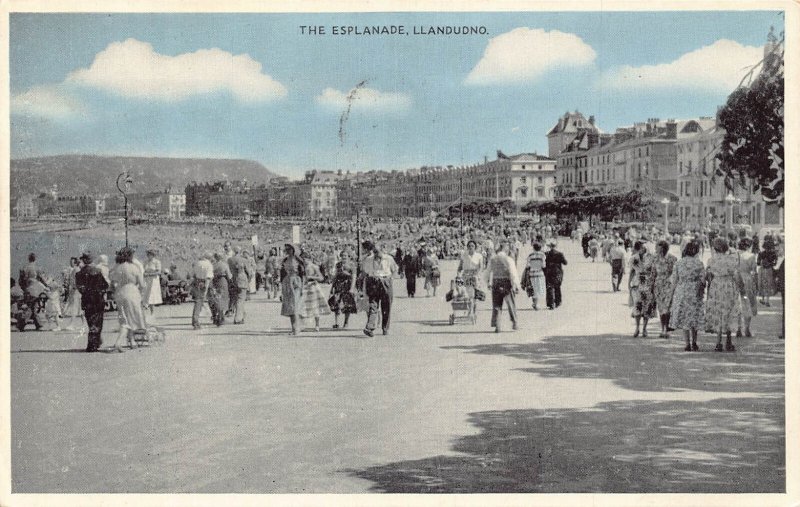 A982 Wales Llandudno 1957 The Esplanade vintage postcard