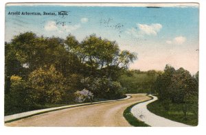 Arnold Arboretum, Boston, Massachusetts, Used 1916 Flag Cancel