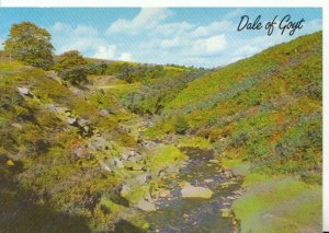 Derbyshire Postcard - The Dale of Goyt - Ref 9545A