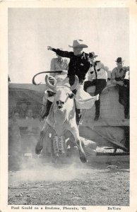 H5/ Phoenix Arizona Postcard c40s Paul Gould Brahma Bull Rodeo Cowboy