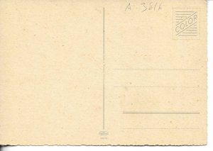 A comical dog Modern German photo postcard