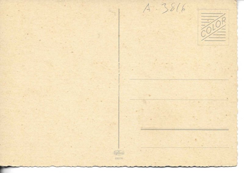 A comical dog Modern German photo postcard