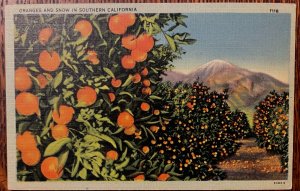 Vintage Postcard 1930-1945 Oranges and Snow, Southern California (CA)