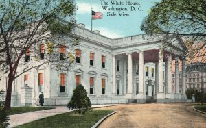 Vintage Postcard Side View Of The White House Portico Columns Washington DC