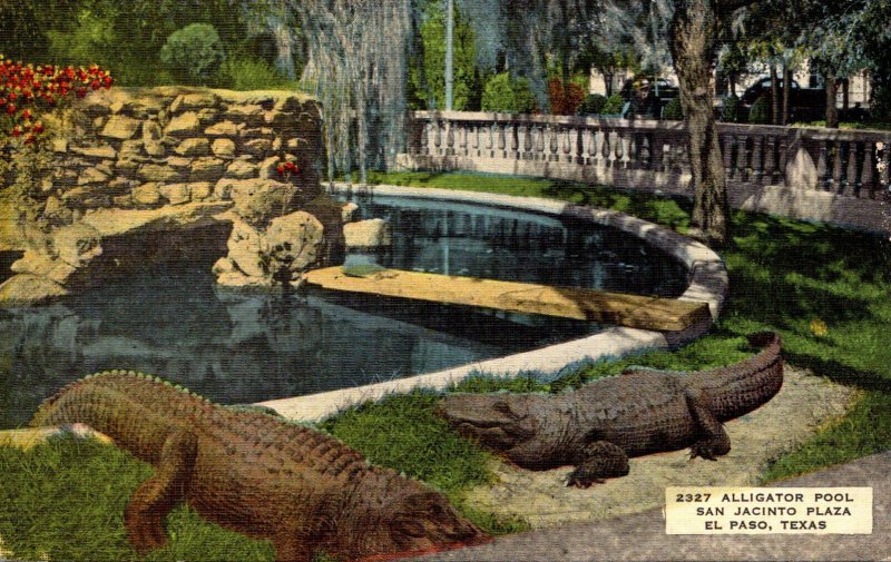 Texas El Paso San Jacinto Plaza The Alligator Pool