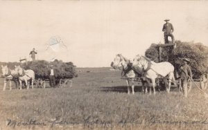 J83/ Reed City Michigan RPPC Postcard c1910 Hay Harvest Horse Wagons 262