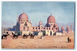 c1910 Camel Tombs of the Caliphs Picturesque Egypt Oilette Tuck Art Postcard 