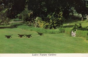 Ladew Topiary Gardens Monkton Maryland USA Postcard