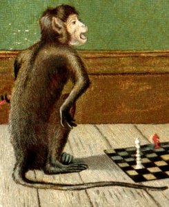 1880s New Year's Trade Card Anthropomorphic Monkeys Playing Chess Comical F116