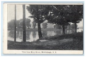 1910 View From River Street Middleburg New York NY Posted Antique Postcard