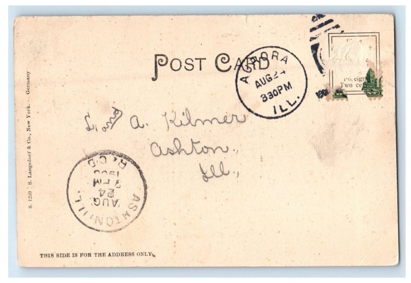 1906 Indian Creek Aurora Illinois IL Ashton IL Posted Antique Postcard