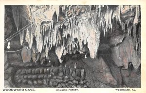 Hanging Forest, Woodward Cave Woodward, Pennsylvania, USA Unused 