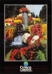 Lot 7 usa florida cypress gardens waterfalls flowering chrysanthemums cascades