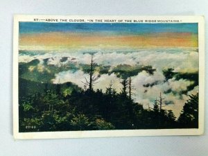 Vintage Postcard Above the Clouds In the heart of the Blue Ridge Mountains