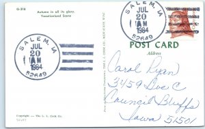 c1970s St. James, MN Greetings From Vacationland PC Minn. Salem USPO Cancel A264