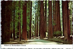 Postcard - Pillars of Richardson Grove - California