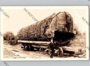 c1935 Washington Douglas Fir Log Train Marysville Northern WA RPPC Real Photo