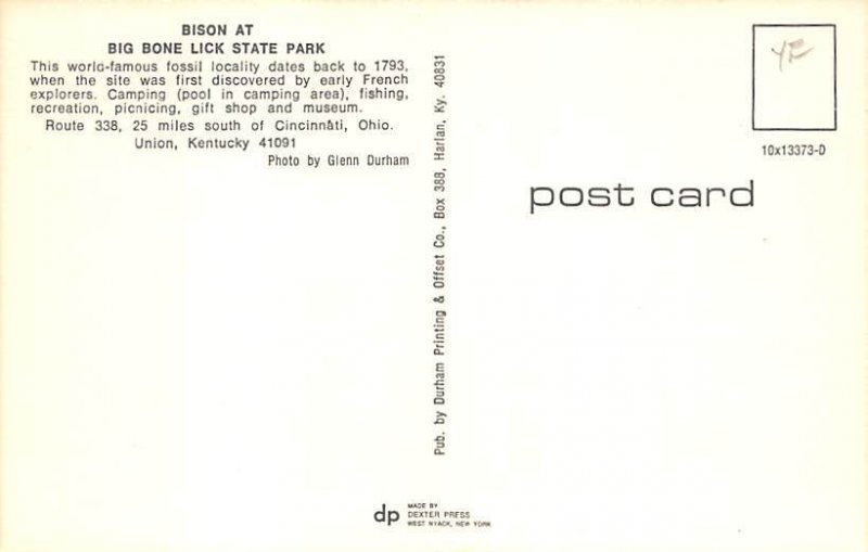 Bison at Big Bone Lick State Park Union KY