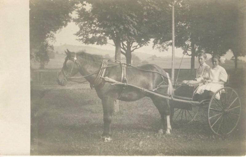 Young Boy & Girl w/ Horse & Carriage Buggy Wagon ~ Real Photo RPPC Postcard 