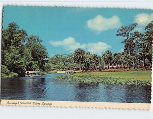 Postcard Beautiful Florida's Silver Springs, Florida