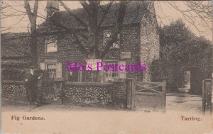 Sussex Postcard - Tarring, The Ancient Fig Gardens HM524