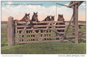 Who Said Supper ? Kentucky Thoroughbreds Lexington Kentucky