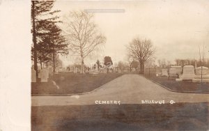 J50/ Bellevue Ohio RPPC Postcard c1910 Cemetery Graves Road  63