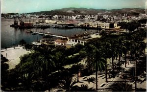 RPPC Passeo de Sagrera, Port from Lonjo Mallorca Palma Spain Real Photo Postcard