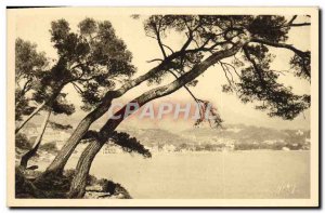 Old Postcard Menton Vue Prize Cap Martin