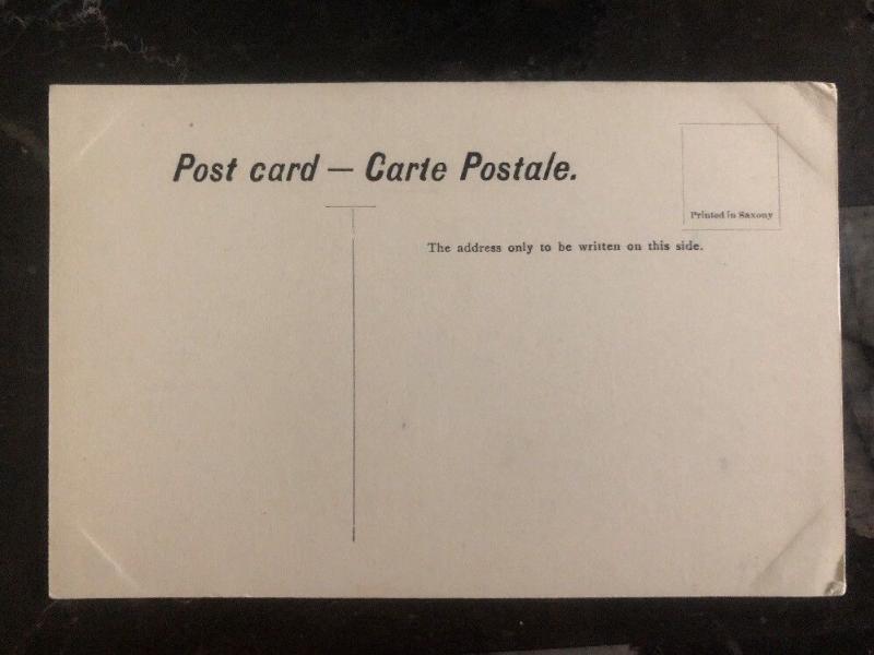 Mint India RPPC Postcard Women Guzrat Hunt Head Lice