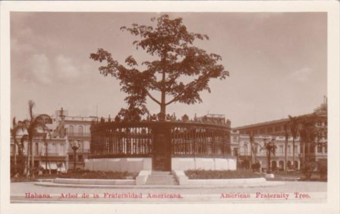 Cuba Havana American Fraternity Tree Real Photo