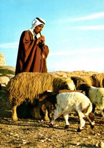 Israel A Shepherd Boy Guarding His Flock