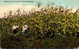 Arkansas Corn Along The Cotton Belt Route Curteich