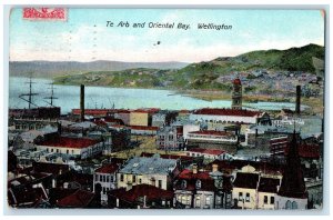 1907 Te Aro and Oriental Bay Wellington New Zealand Avon PA Antique Postcard