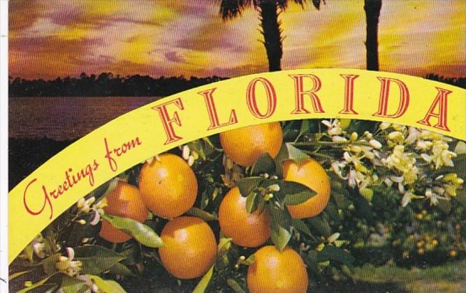 Greetings From Florida With Oranges