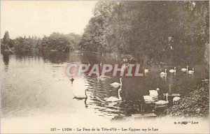 Old Postcard Lyon Parc de la Tete But the Swans on the Lake