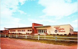 Montana Farmers Union Headquarters Building Great Falls Montana Postcard