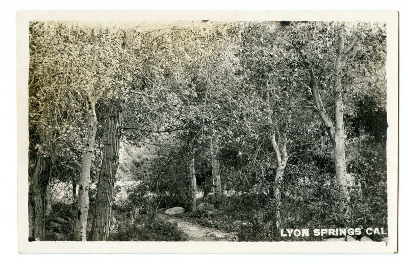 1904-1920's ERA RPPC*LYON SPRINGS CALIFORNIA*VENTURA COUNTY*TREES*DIRT PATH